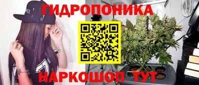 сатива Лесосибирск