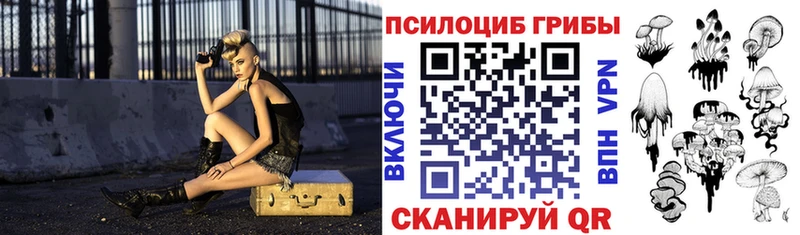 Галлюциногенные грибы Psilocybine cubensis  Люберцы 